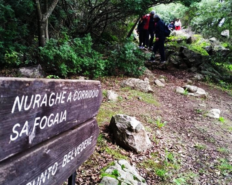 INGRESSO LIBERO ALLA CULTURA