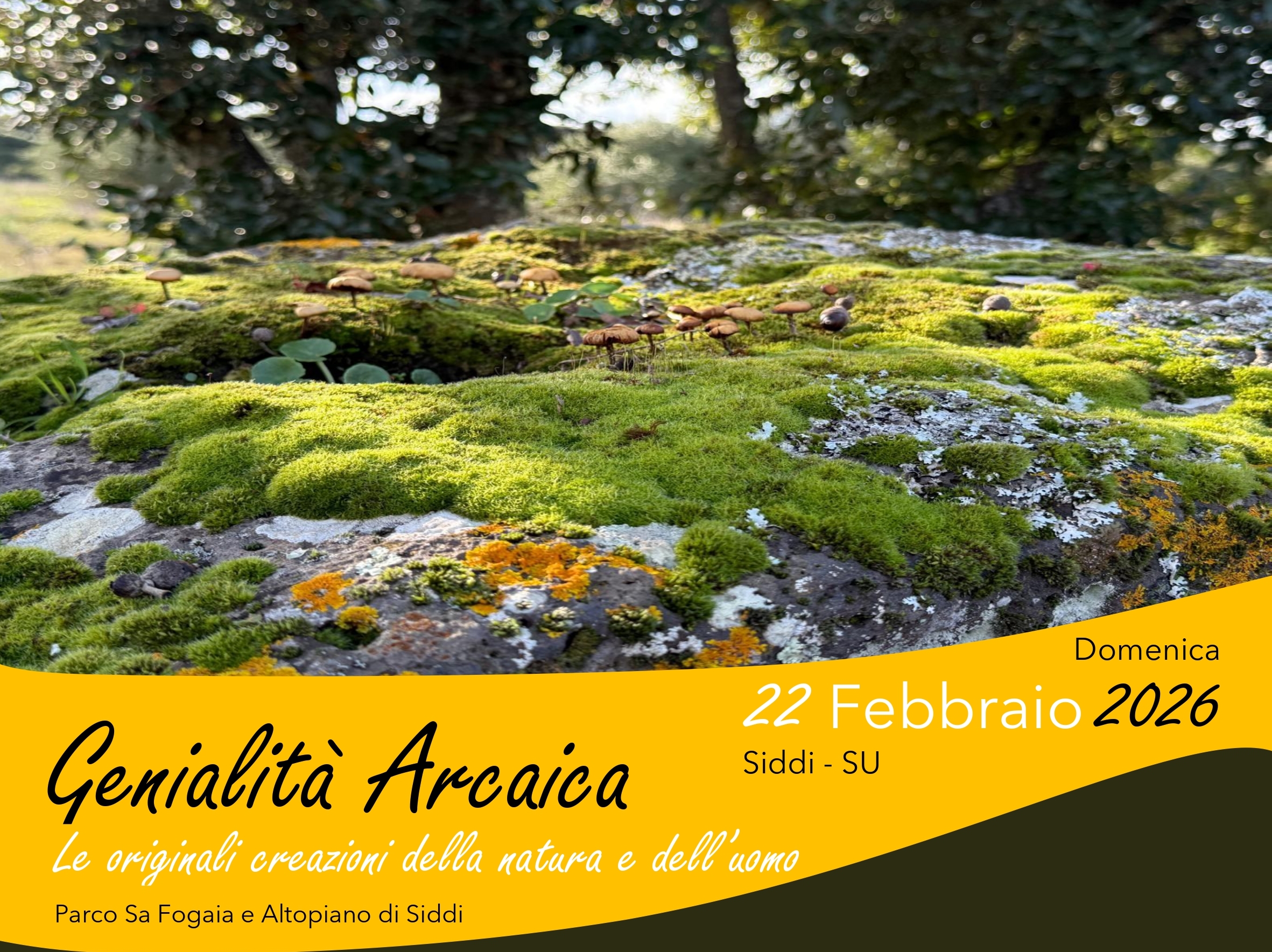 Visualizza la notizia: Genialità arcaica