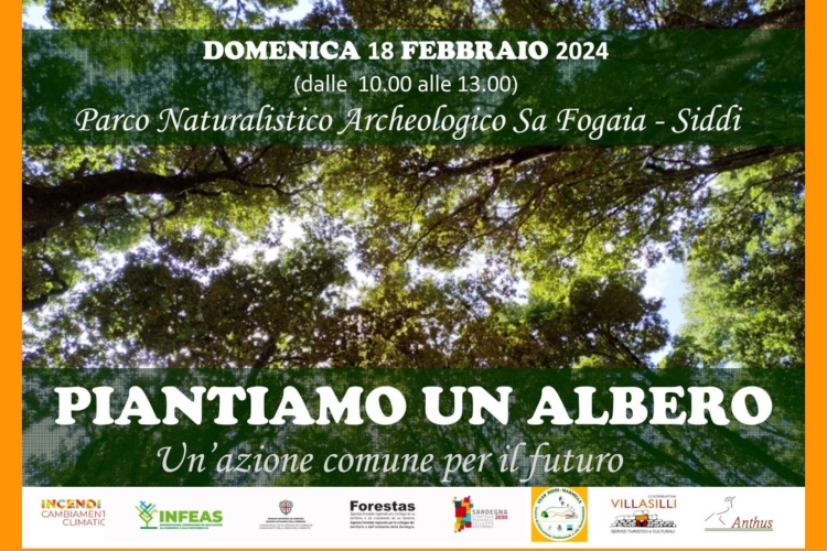 Piantiamo un albero