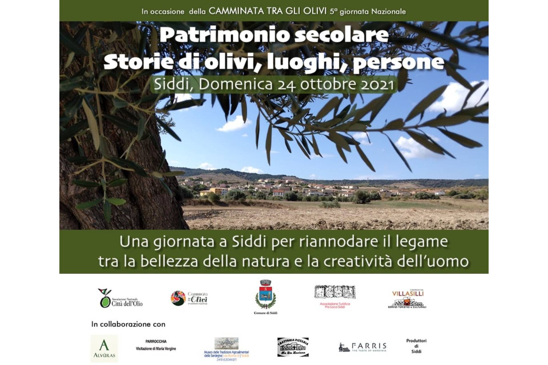 Visualizza la notizia: CAMMINATA TRA GLI OLIVI