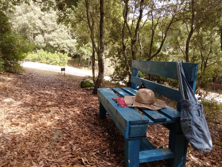 INGRESSO LIBERO ALLA CULTURA